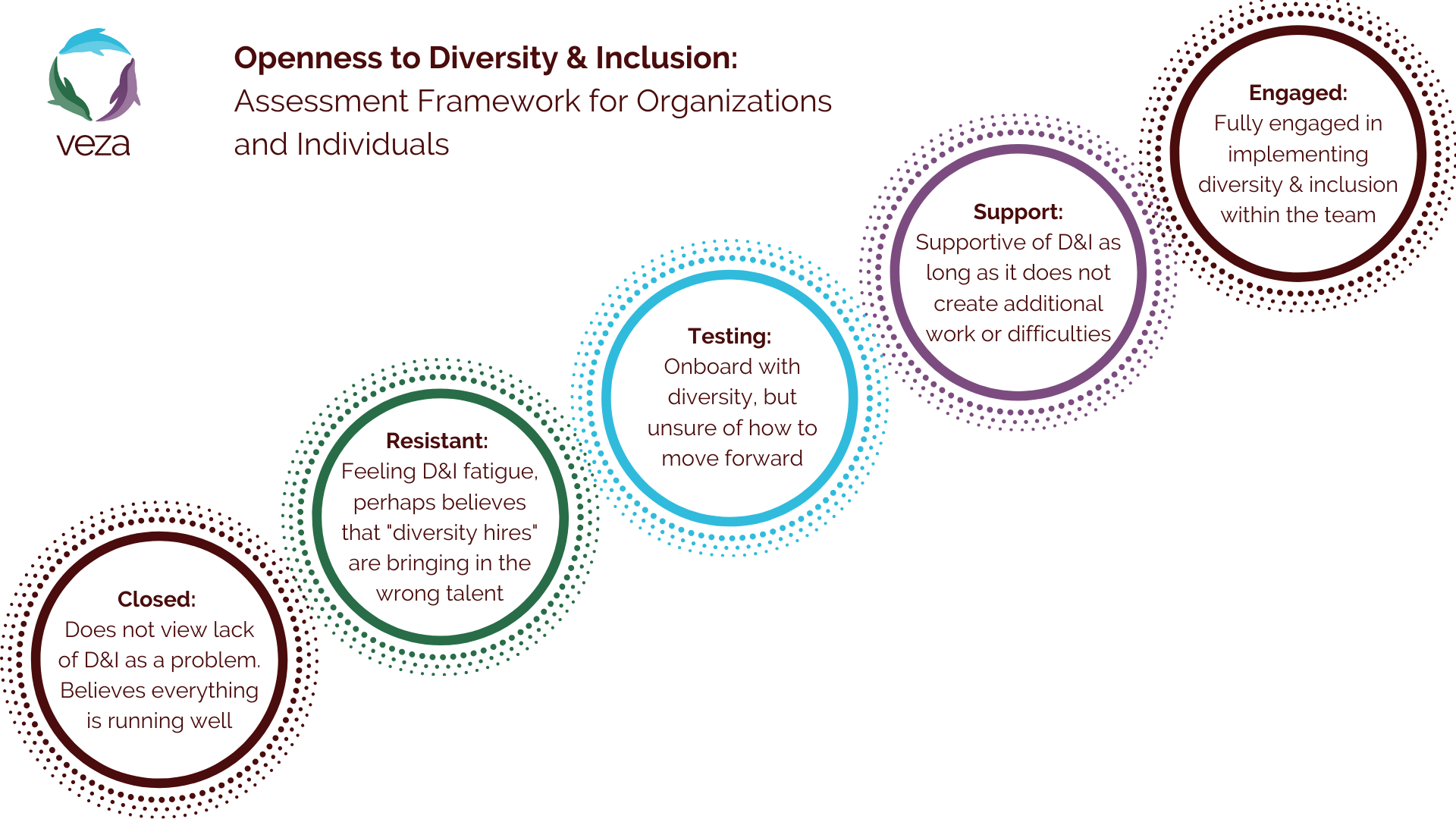 Openness to Equity, Diversity and Inclusion Model